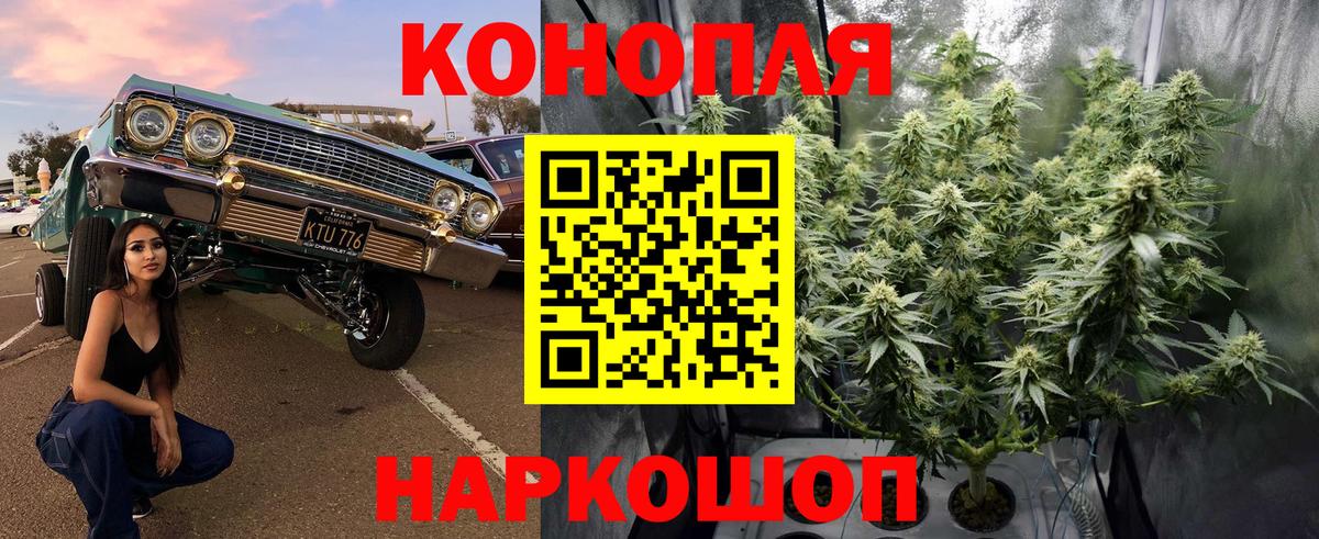 Шишки марихуана сатива  МАРИХУАНА AK-47  Новочеркасск  Вход с VPN  Бошки марихуана индика 
